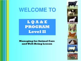 L Q A &amp; E PROGRAM Level II