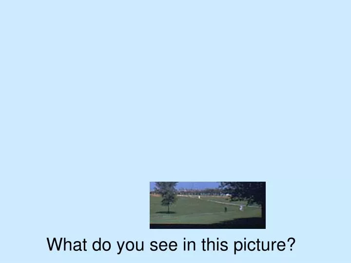 what do you see in this picture