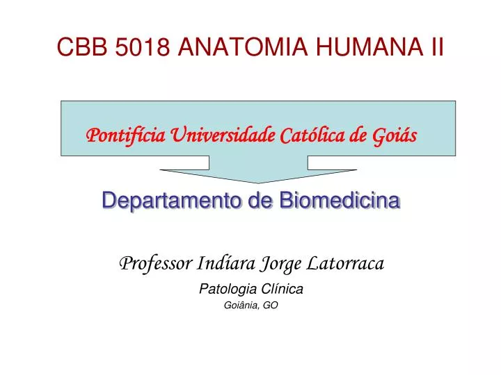 cbb 5018 anatomia humana ii