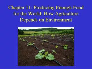 Chapter 11: Producing Enough Food for the World: How Agriculture Depends on Environment