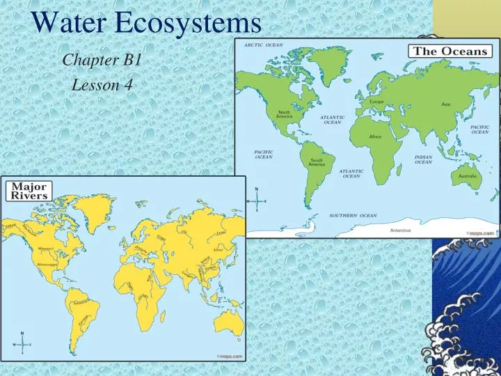 water ecosystems