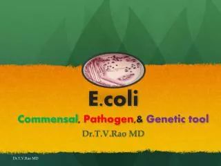 E.coli Commensal , Pathogen ,&amp; Genetic tool
