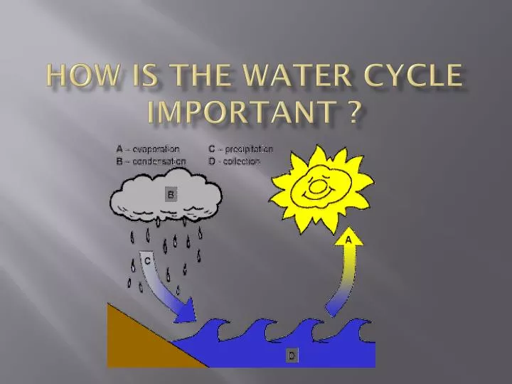 how is the water cycle important