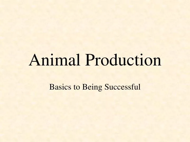 animal production