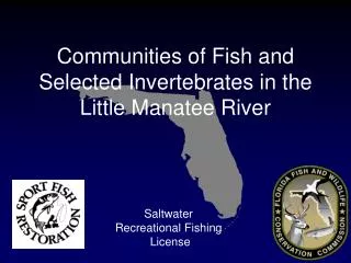 Saltwater Recreational Fishing License