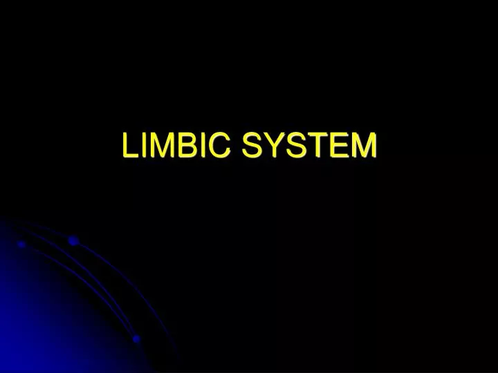limbic system