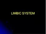 LIMBIC SYSTEM - slide 1