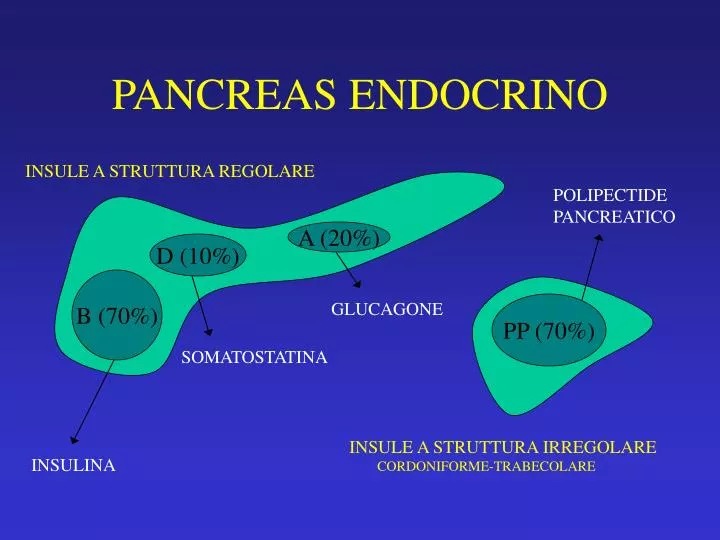 pancreas endocrino