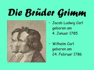 die br der grimm