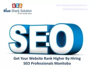Get your website rank higher by hiring SEO professionals