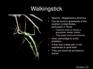 Walkingstick