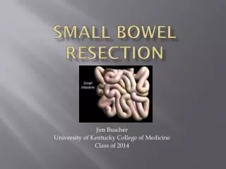 Small Bowel Resection