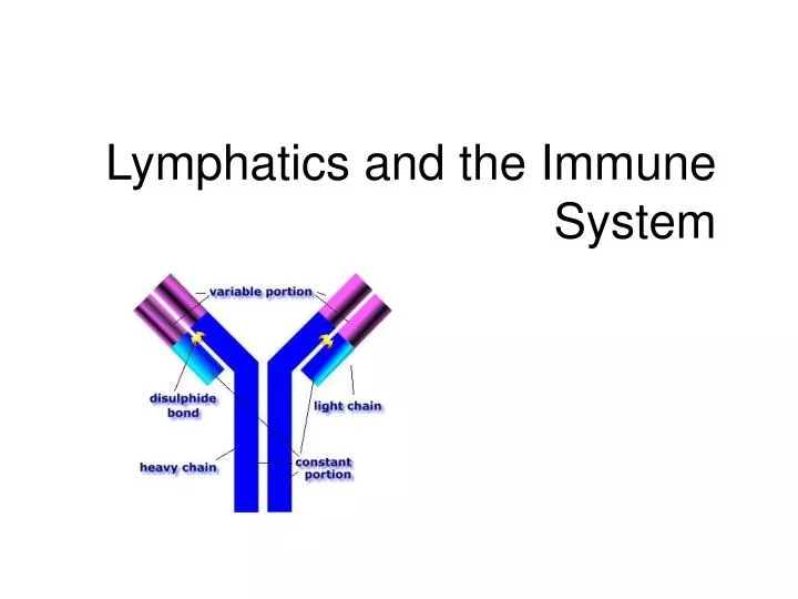 lymphatics and the immune system