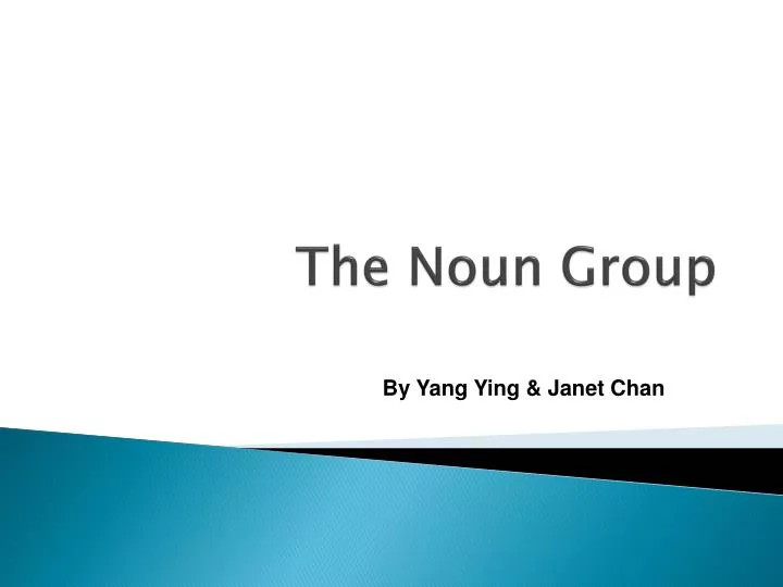 the noun group