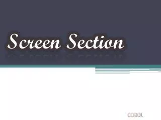 Screen Section