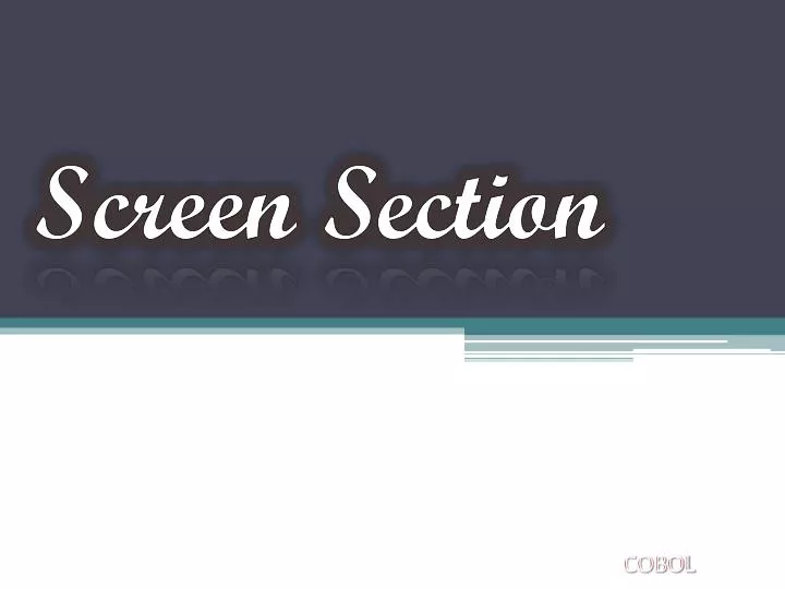 screen section