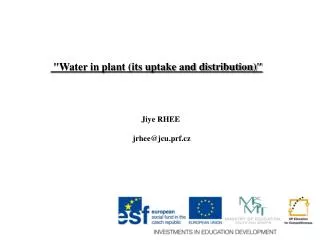 &quot;Water in plant (its uptake and distribution)&quot;