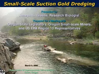 Small-Scale Suction Gold Dredging