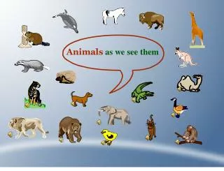 Animals as we see them