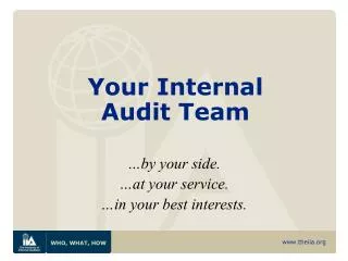 Your Internal Audit Team