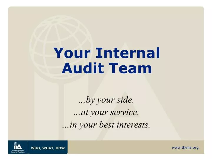 your internal audit team