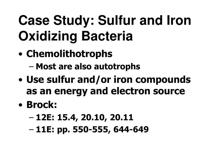 case study sulfur and iron oxidizing bacteria