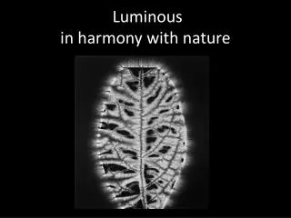 Luminous in harmony with nature