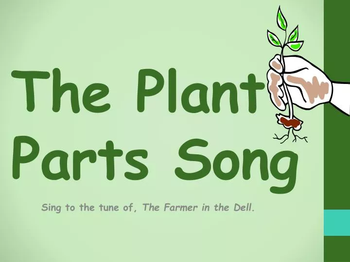 the plant p arts song