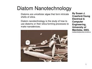 Diatom Nanotechnology