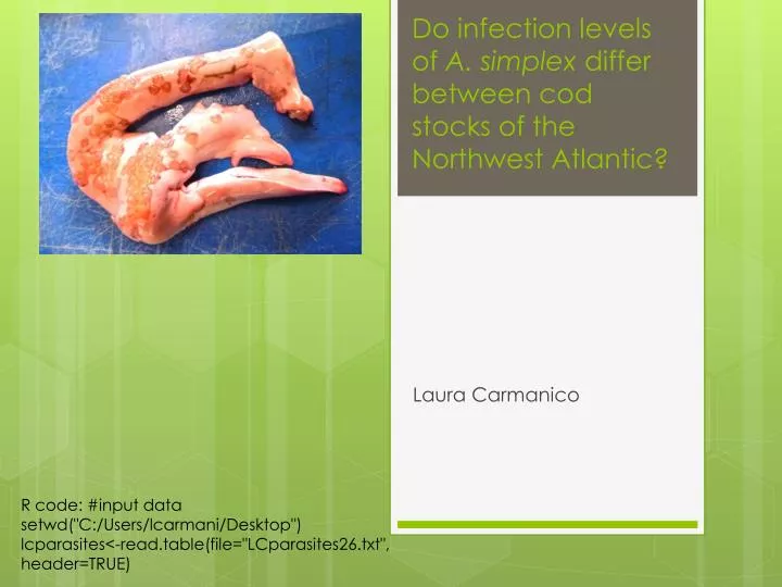 do infection levels of a simplex differ between cod stocks of the northwest atlantic