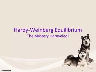 Hardy-Weinberg Equilibrium The Mystery Unraveled!