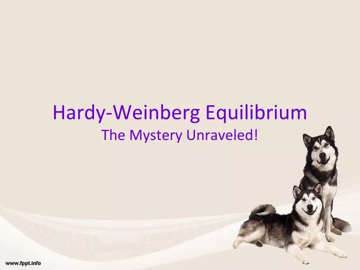 hardy weinberg equilibrium the mystery unraveled