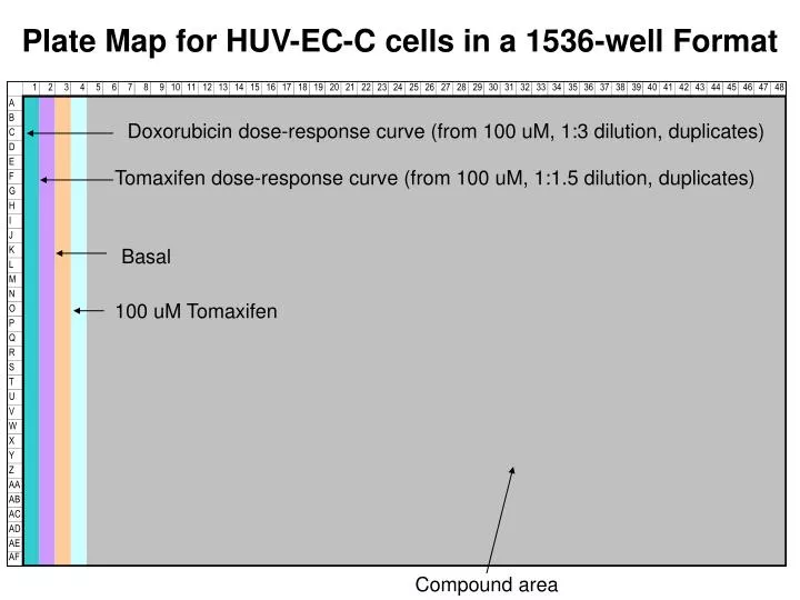plate map for huv ec c cells in a 1536 well format