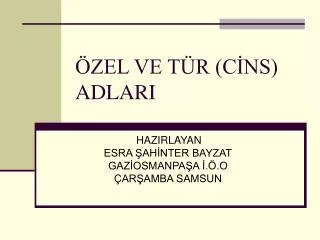 zel ve t r c ns adlari