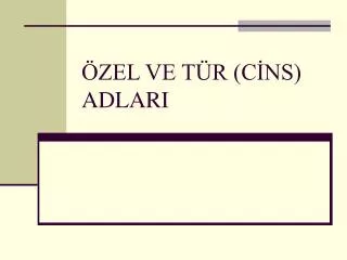 zel ve t r c ns adlari