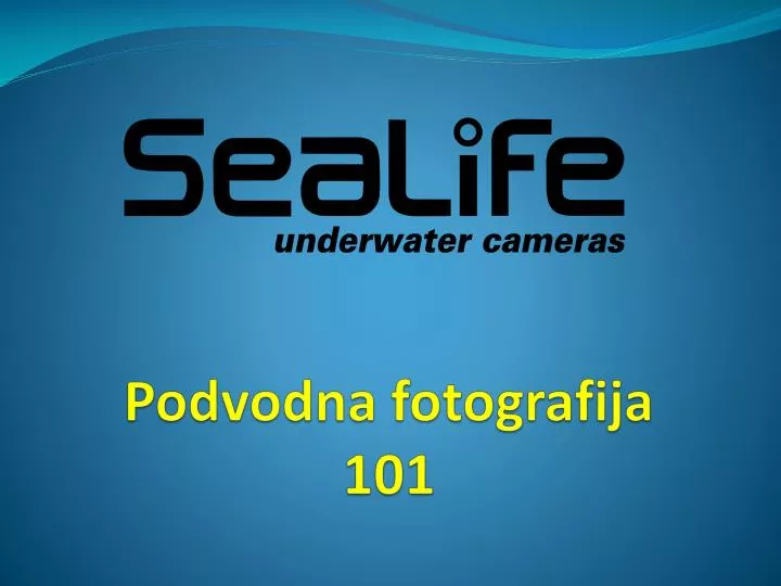 podvodna fotografija 101