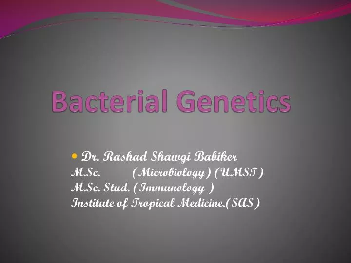 bacterial genetics