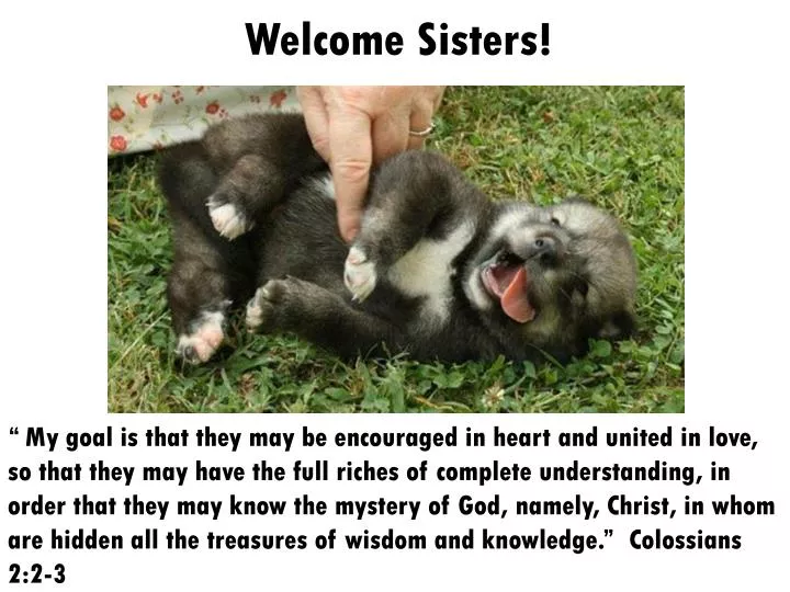 welcome sisters