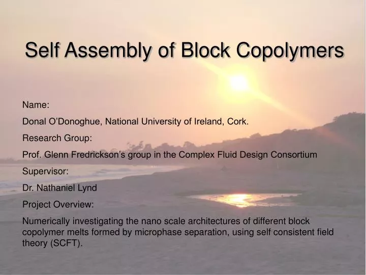 self assembly of block copolymers