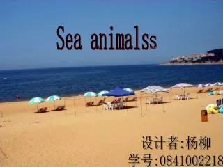 Sea animals