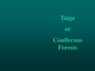 Taiga or Coniferous Forests