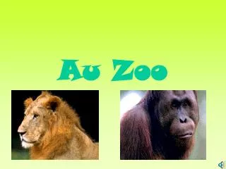 au zoo
