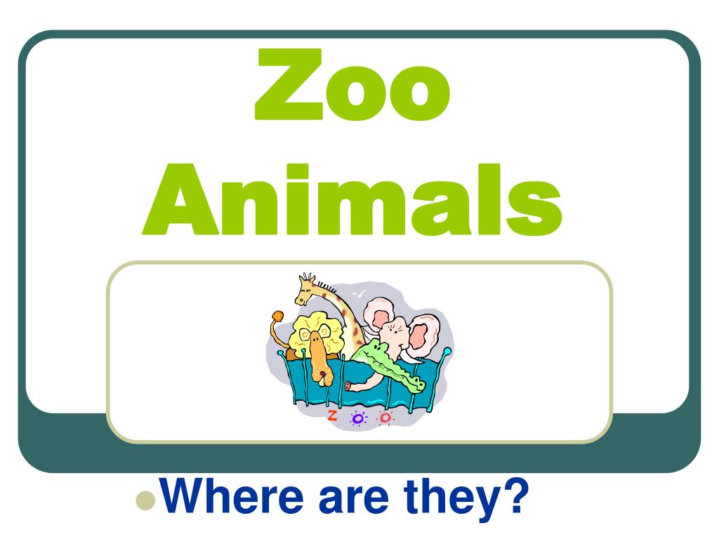 PPT - Zoo Animals PowerPoint Presentation, free download - ID:6874736