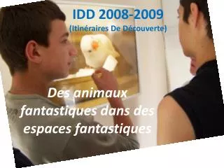idd 2008 2009 itin raires de d couverte