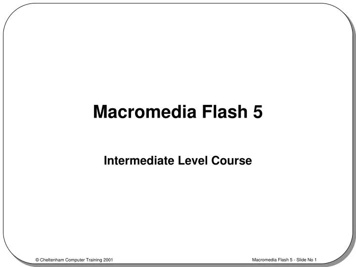 macromedia flash 5