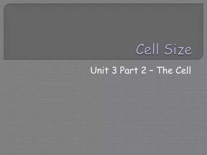 cell size