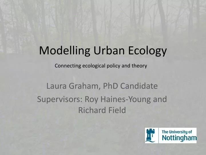 modelling urban ecology
