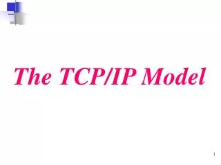 The TCP/IP Model