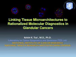 Linking Tissue Microarchitectures to Rationalized Molecular Diagnostics in Glandular Cancers