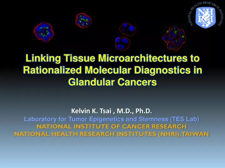 linking tissue microarchitectures to rationalized molecular diagnostics in glandular cancers